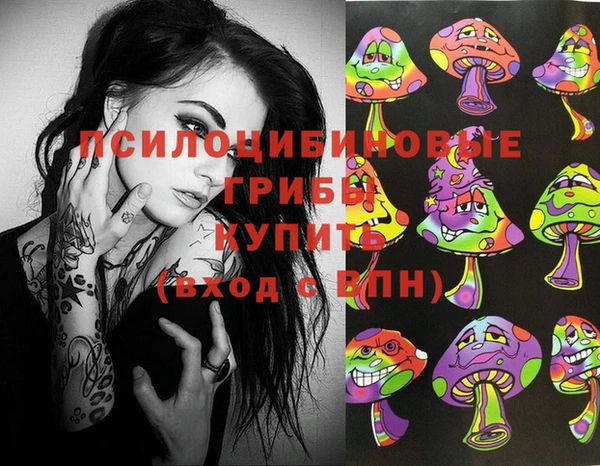 ГАЛЛЮЦИНОГЕННЫЕ ГРИБЫ Ладушкин