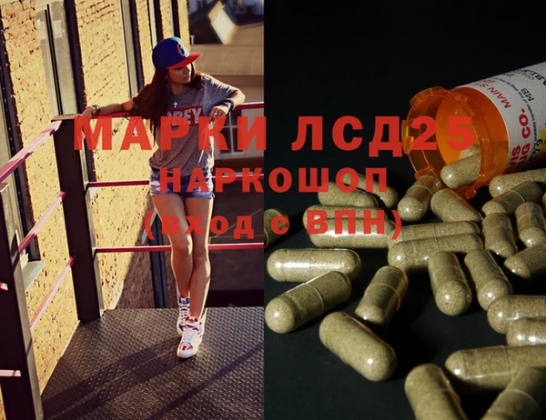 ПСИЛОЦИБИНОВЫЕ ГРИБЫ Лагань