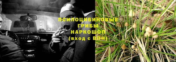 ГАЛЛЮЦИНОГЕННЫЕ ГРИБЫ Ладушкин