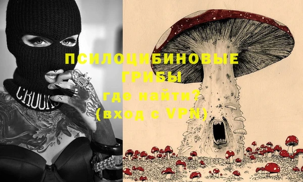 ПСИЛОЦИБИНОВЫЕ ГРИБЫ Лагань