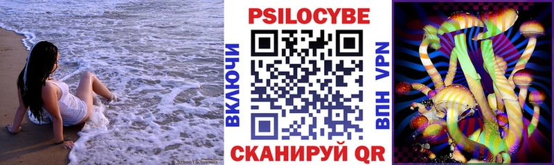 Псилоцибиновые грибы мицелий  Купить где  Буй 